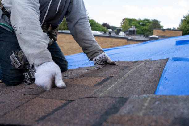 Best Commercial Roofing Services  in Holladay, UT